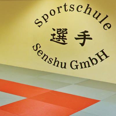 mehr über Capoeira