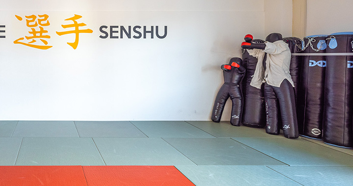 Kampfkunst Senshu
