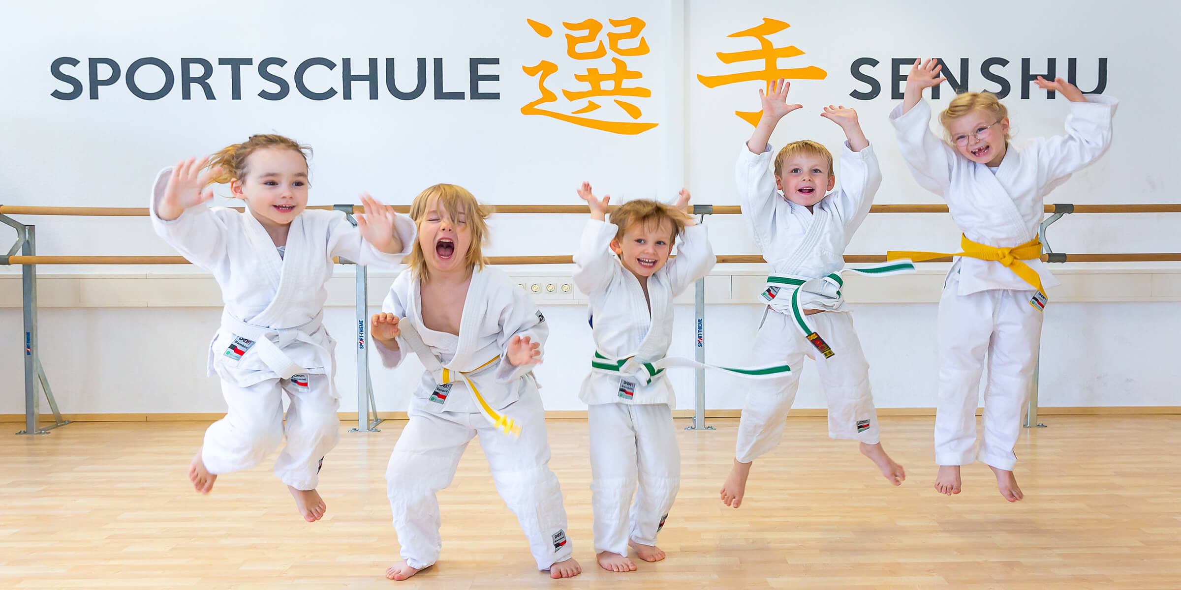 Sportschule Senshu - Banner - Startseite